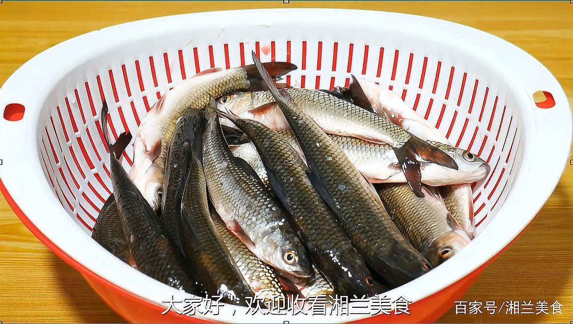 還有哪些鶴山龍魚吃法？，鶴山龍魚的吃法 還有哪些鶴山龍魚吃法？，鶴山龍魚的吃法 龍魚百科 第7張