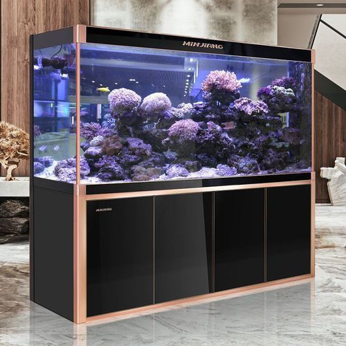 閩江水族龍魚缸的評價如何，閩江水族龍魚缸主流型號對比表，閩江龍魚缸的評價如何 閩江水族龍魚缸的評價如何，閩江水族龍魚缸主流型號對比表，閩江龍魚缸的評價如何 龍魚百科 第6張