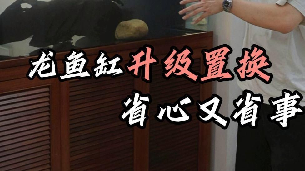 能否給出龍魚換缸的具體步驟，龍魚換缸后，龍魚換缸是一個需要謹慎操作的詳細過程 能否給出龍魚換缸的具體步驟，龍魚換缸后，龍魚換缸是一個需要謹慎操作的詳細過程 龍魚百科 第2張