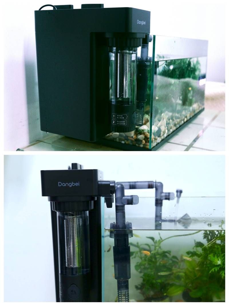 新手養魚需要哪些基本設備？，新手養魚需要準備什么基本設備？ 新手養魚需要哪些基本設備？，新手養魚需要準備什么基本設備？ 龍魚百科 第1張
