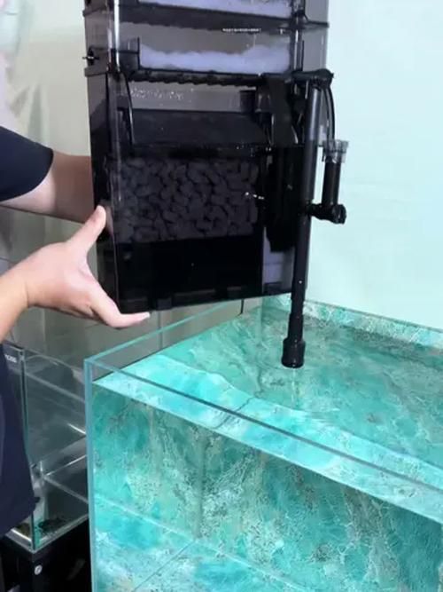 新手養魚需要哪些基本設備？，新手養魚需要準備什么基本設備？ 新手養魚需要哪些基本設備？，新手養魚需要準備什么基本設備？ 龍魚百科 第4張