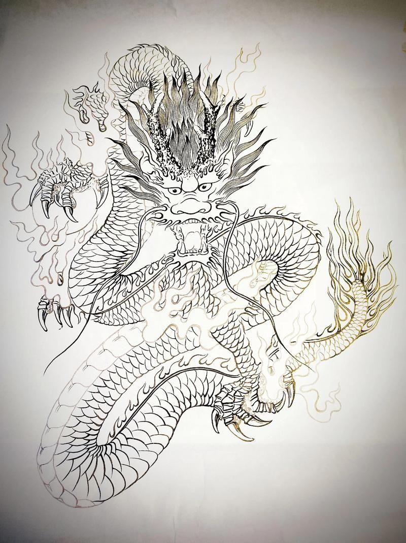 能否提供紅龍設計的線稿圖，紅龍設計的線稿圖可以提供嗎？