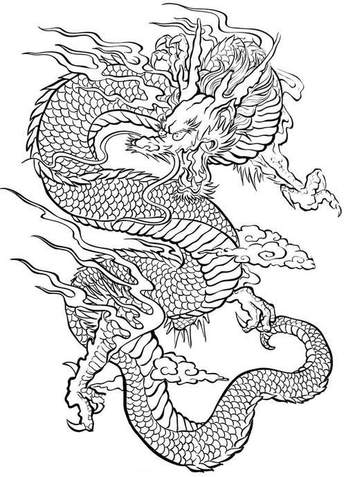能否提供紅龍設計的線稿圖，紅龍設計的線稿圖可以提供嗎？