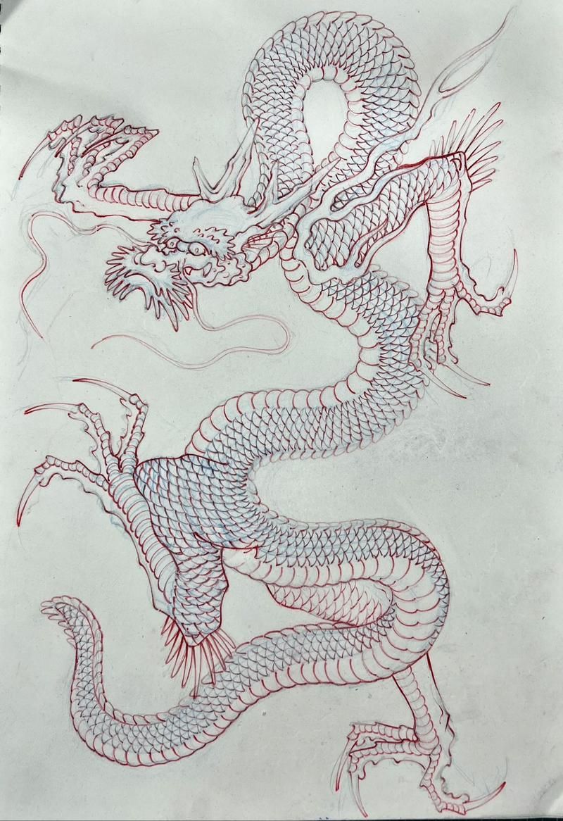 能否提供紅龍設計的線稿圖，紅龍設計的線稿圖可以提供嗎？
