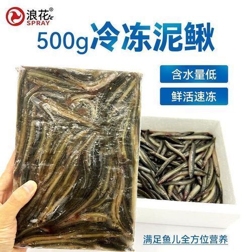 有哪些適合龍魚的魚食？，觀賞魚中的“貴族”，有哪些適合龍魚的魚食