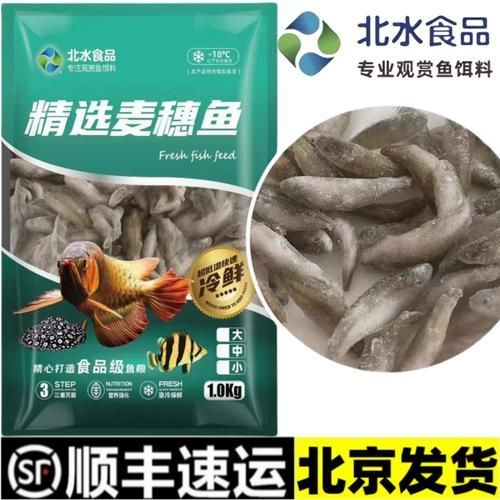 有哪些適合龍魚的魚食？，觀賞魚中的“貴族”，有哪些適合龍魚的魚食