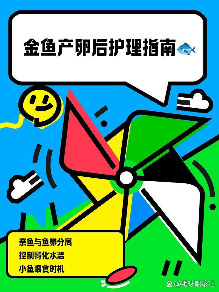 金魚產卵后如何護理，金魚產卵后護理工作至關重要，金魚產卵后如何護理 金魚產卵后如何護理，金魚產卵后護理工作至關重要，金魚產卵后如何護理 龍魚百科 第1張