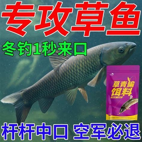 黑鱗病最怕三個(gè)魚，黑鱗病最怕三個(gè)魚，