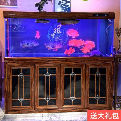 給我推薦幾款森森和閩江的熱龍魚缸，森森和閩江哪個品牌更好 給我推薦幾款森森和閩江的熱龍魚缸，森森和閩江哪個品牌更好 龍魚百科 第6張