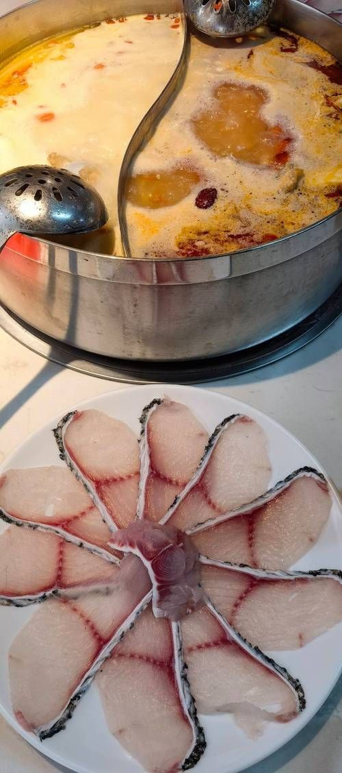 給我一些興安龍魚的圖片，興安龍魚有哪些特征？ 給我一些興安龍魚的圖片，興安龍魚有哪些特征？ 龍魚百科 第2張