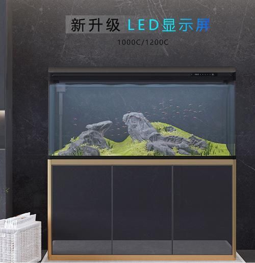 如何區(qū)分祥龍魚缸的真?zhèn)危浚辇堲~缸的真?zhèn)舞b別 如何區(qū)分祥龍魚缸的真?zhèn)危浚辇堲~缸的真?zhèn)舞b別 龍魚百科 第6張