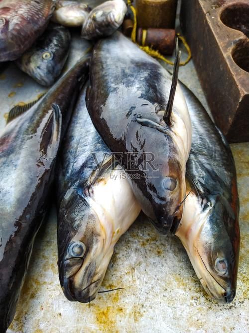 南平龍魚的市場價格是多少?,南平龍魚市場價格是多少南平龍魚市場價格對比表 龍魚百科 第5張 南平龍魚的市場價格是多少?,南平龍魚市場價格是多少南平龍魚市場價格對比表 南平龍魚的市場價格是多少?,南平龍魚市場價格是多少南平龍魚市場價格對比表 龍魚百科 第5張
