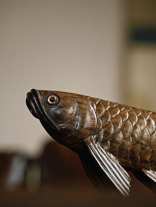 給我提供100張木雕魚的圖片 龍魚百科 第16張 給我提供100張木雕魚的圖片 給我提供100張木雕魚的圖片 龍魚百科 第16張