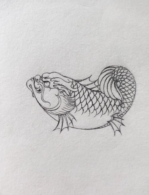 給我一些關(guān)于魚化龍的圖片，關(guān)于魚化龍的一些圖片 給我一些關(guān)于魚化龍的圖片，關(guān)于魚化龍的一些圖片 龍魚百科 第1張