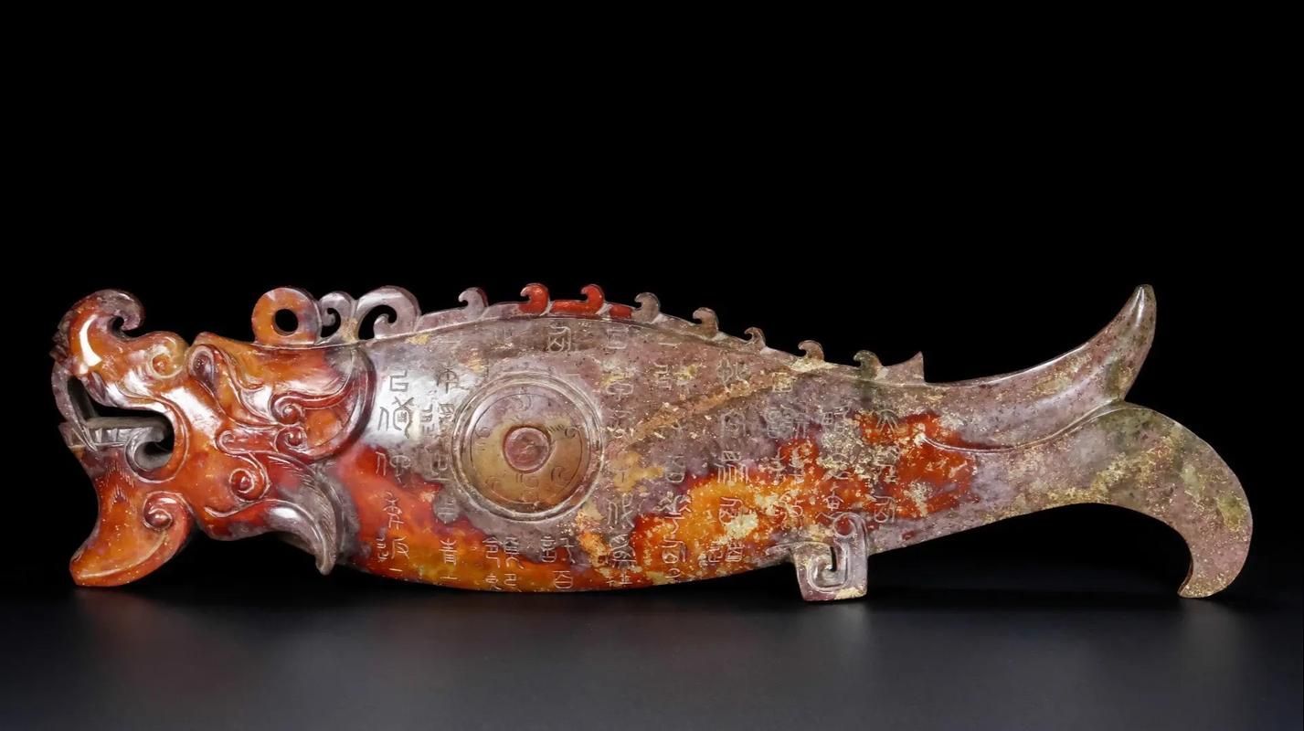 給我一些關(guān)于魚化龍的圖片，關(guān)于魚化龍的一些圖片 給我一些關(guān)于魚化龍的圖片，關(guān)于魚化龍的一些圖片 龍魚百科 第23張