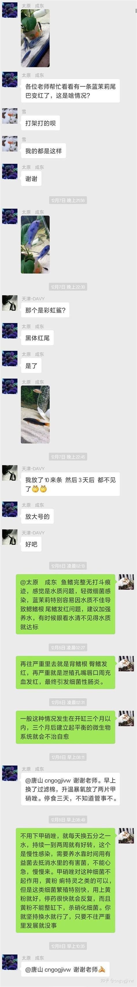 龍魚魚鰭充血最簡單三個妙招，龍魚魚鰭充血怎么辦 龍魚魚鰭充血最簡單三個妙招，龍魚魚鰭充血怎么辦 龍魚百科