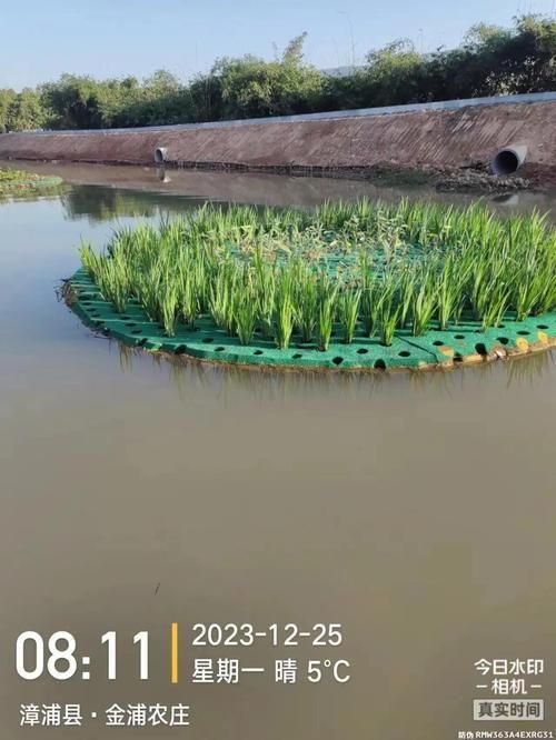 如何預防魚浮頭，/水產養殖魚浮頭預防詳解：如何預防魚浮頭 如何預防魚浮頭，/水產養殖魚浮頭預防詳解：如何預防魚浮頭 龍魚百科 第5張