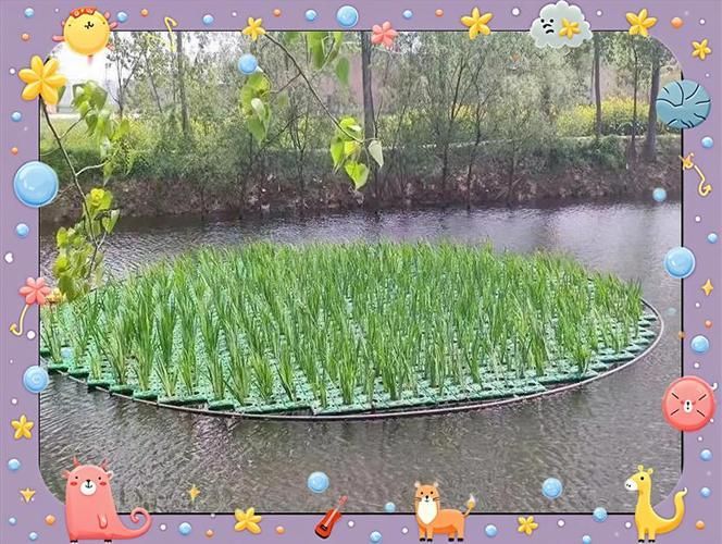 如何預防魚浮頭，/水產養殖魚浮頭預防詳解：如何預防魚浮頭 如何預防魚浮頭，/水產養殖魚浮頭預防詳解：如何預防魚浮頭 龍魚百科 第7張