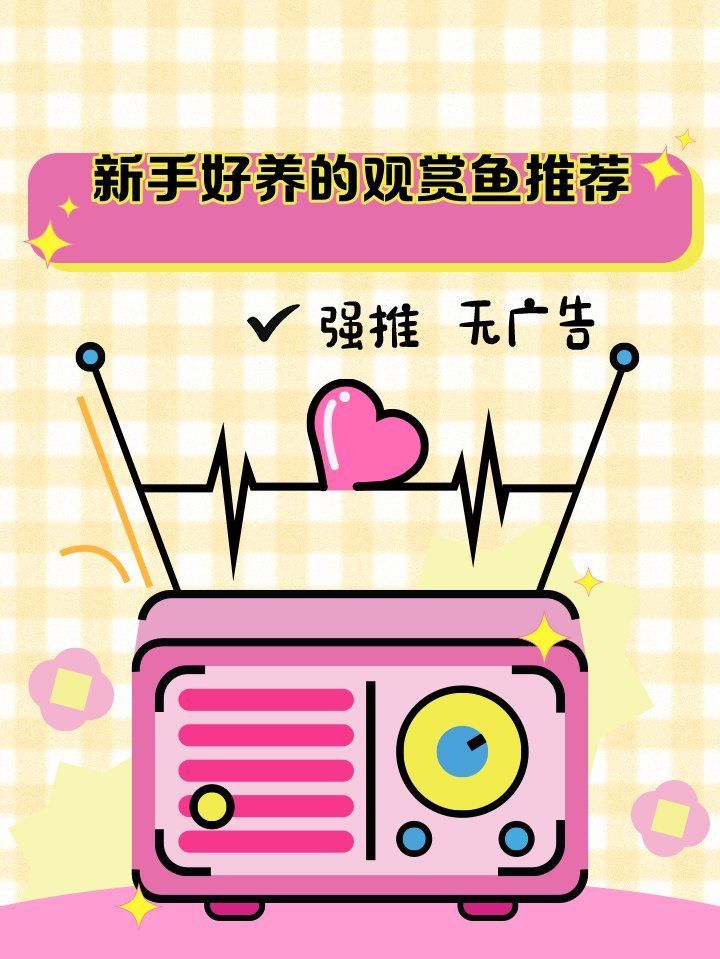 如何為新手選擇合適的觀賞魚，如何為新手選擇合適的觀賞魚,新手養魚需要哪些基本設備