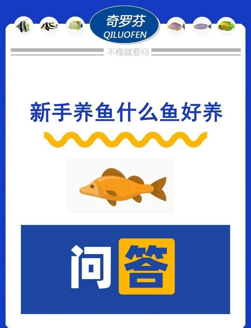 如何為新手選擇合適的觀賞魚，如何為新手選擇合適的觀賞魚,新手養魚需要哪些基本設備
