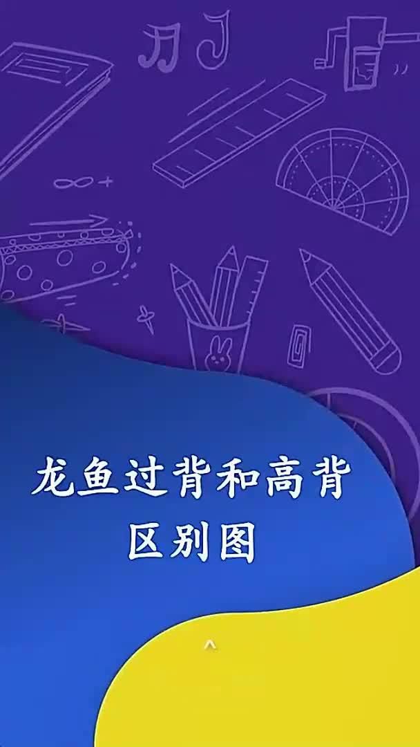 如何鑒別頂級龍魚的品質？，如何鑒別頂級龍魚