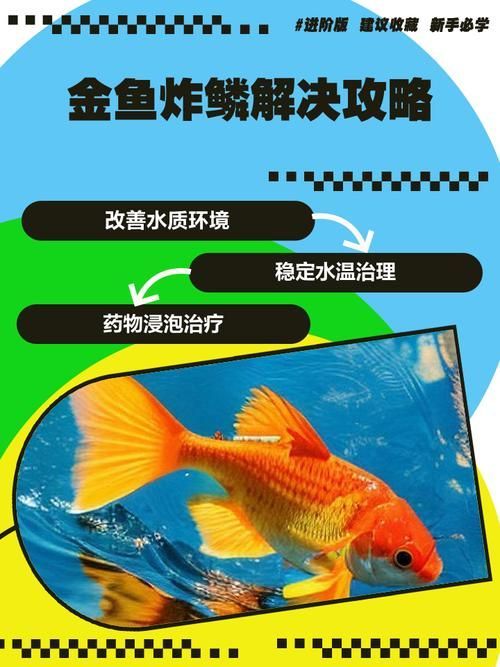 如何預防金魚炸鱗,金魚炸鱗預防系統(tǒng)性預防指南(1000字詳解) 龍魚百科 第2張 如何預防金魚炸鱗,金魚炸鱗預防系統(tǒng)性預防指南(1000字詳解) 如何預防金魚炸鱗,金魚炸鱗預防系統(tǒng)性預防指南(1000字詳解) 龍魚百科 第2張