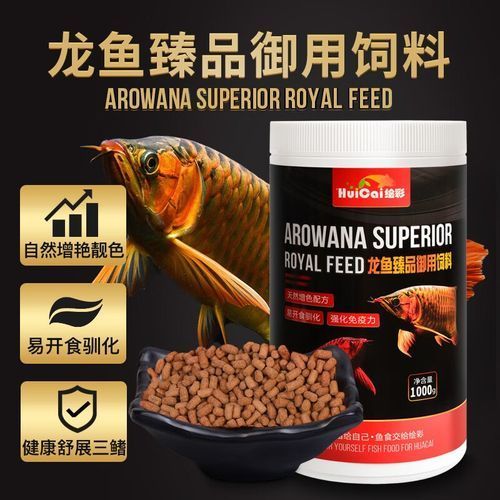 有哪些品牌飼料適合祥龍超血紅龍魚，不要我，整理一份祥龍受歡迎的觀賞魚飼料