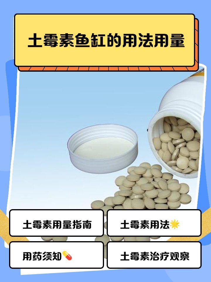 如何判斷魚是否需要消炎藥，如何判斷魚是否需要消炎藥，如何判斷魚是否患有細菌性感染？ 如何判斷魚是否需要消炎藥，如何判斷魚是否需要消炎藥，如何判斷魚是否患有細菌性感染？ 龍魚百科 第2張