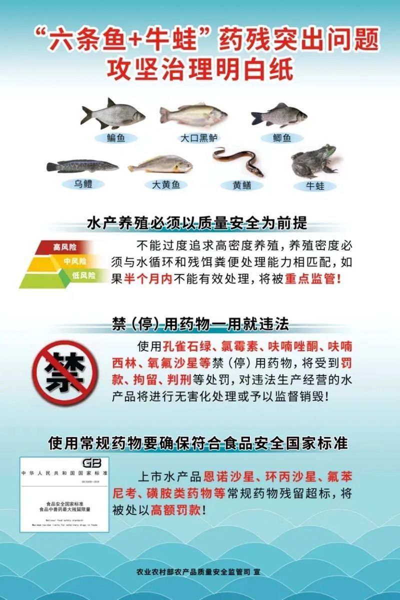如何預防魚得腸炎，如何預防魚得腸炎思考完成1000字內容和配圖