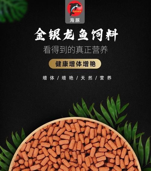 推薦幾款適合過背金龍的飼料品牌，幾款適合過背金龍的飼料品牌推薦 推薦幾款適合過背金龍的飼料品牌，幾款適合過背金龍的飼料品牌推薦 龍魚百科 第1張