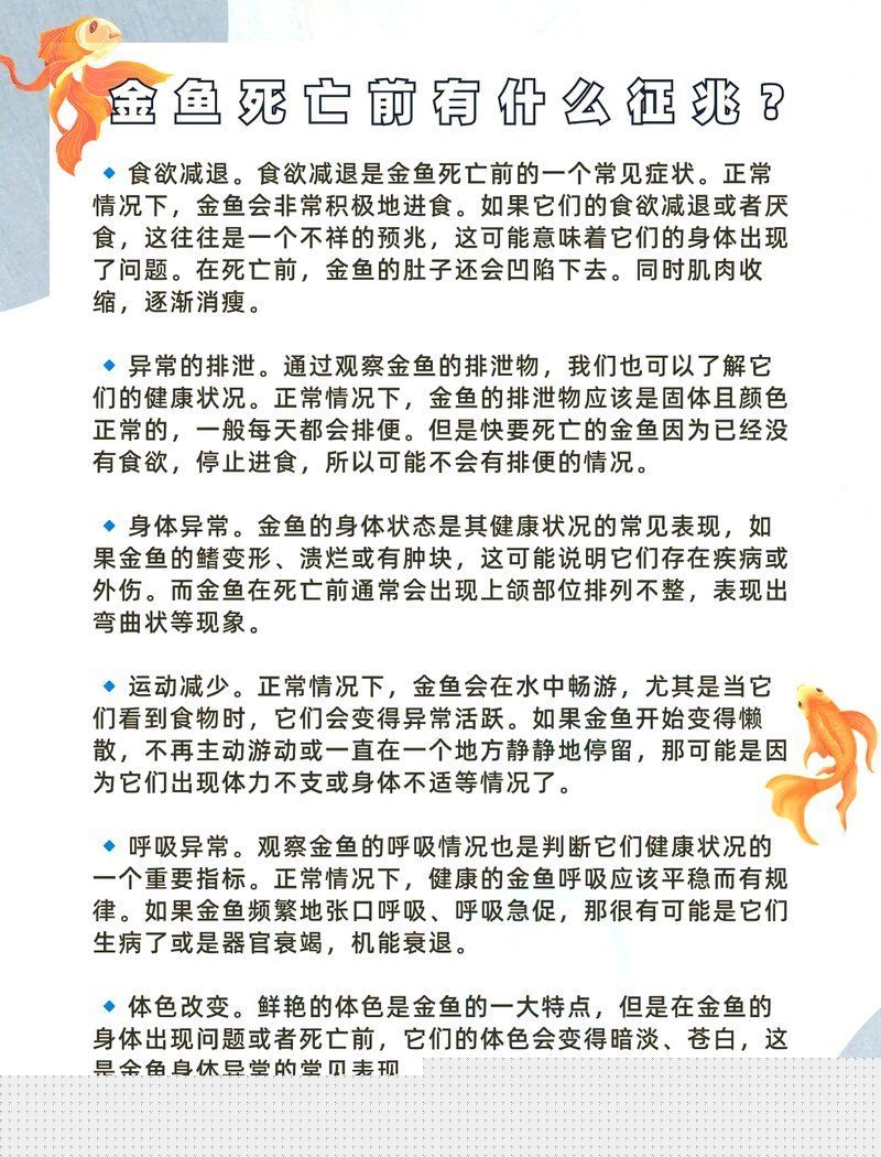 如何判斷金魚是否瀕死，判斷金魚是否瀕死前的7個征兆，金魚臨終前的6個征兆 如何判斷金魚是否瀕死，判斷金魚是否瀕死前的7個征兆，金魚臨終前的6個征兆 龍魚百科 第7張