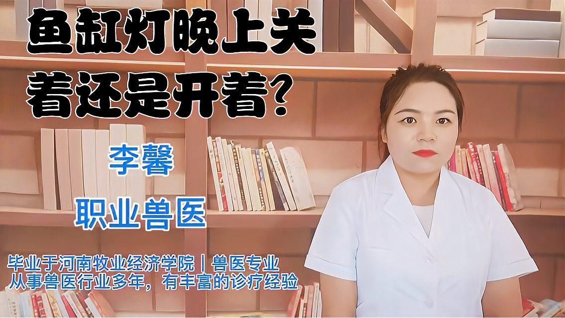 魚缸燈晚上需要關掉嗎？，魚缸燈晚上需要關掉取決于幾個因素 魚缸燈晚上需要關掉嗎？，魚缸燈晚上需要關掉取決于幾個因素 龍魚百科 第2張