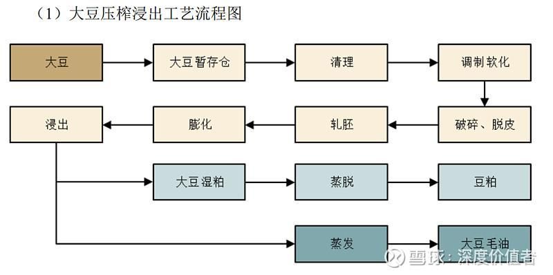 金龍魚廠家批發流程是怎樣的？，金龍魚專屬，存在泛是風險