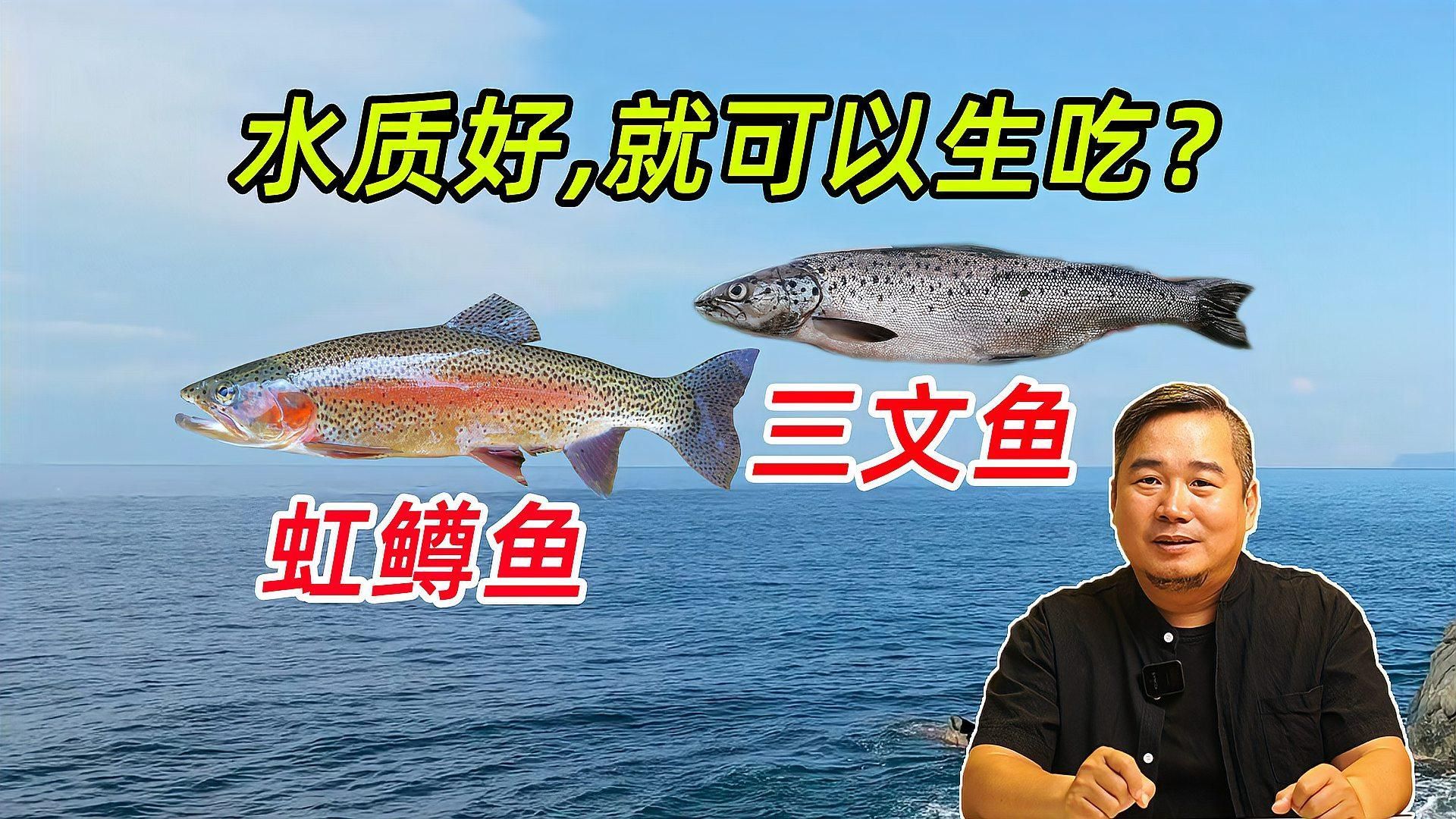 哪些魚的肉質最適合生食，如何選擇生食魚類 哪些魚的肉質最適合生食，如何選擇生食魚類 龍魚百科 第3張