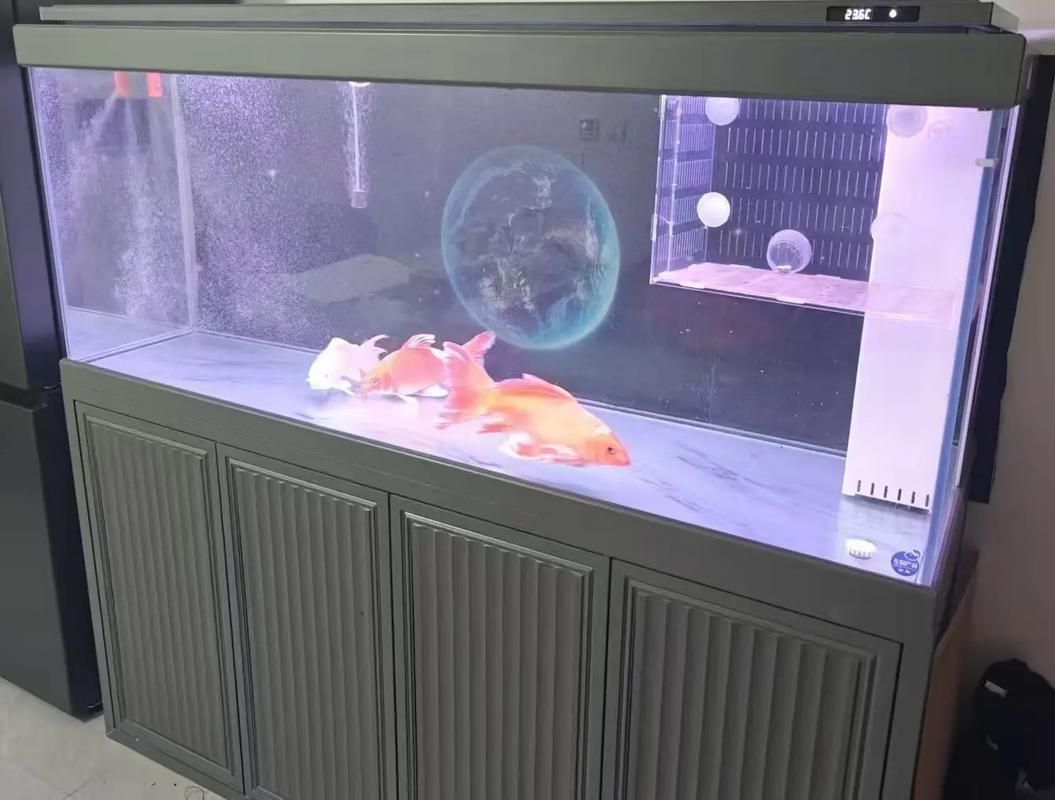 有哪些品牌龍魚缸寬度推薦？，有哪些品牌龍魚缸寬度推薦? 有哪些品牌龍魚缸寬度推薦？，有哪些品牌龍魚缸寬度推薦? 龍魚百科 第3張