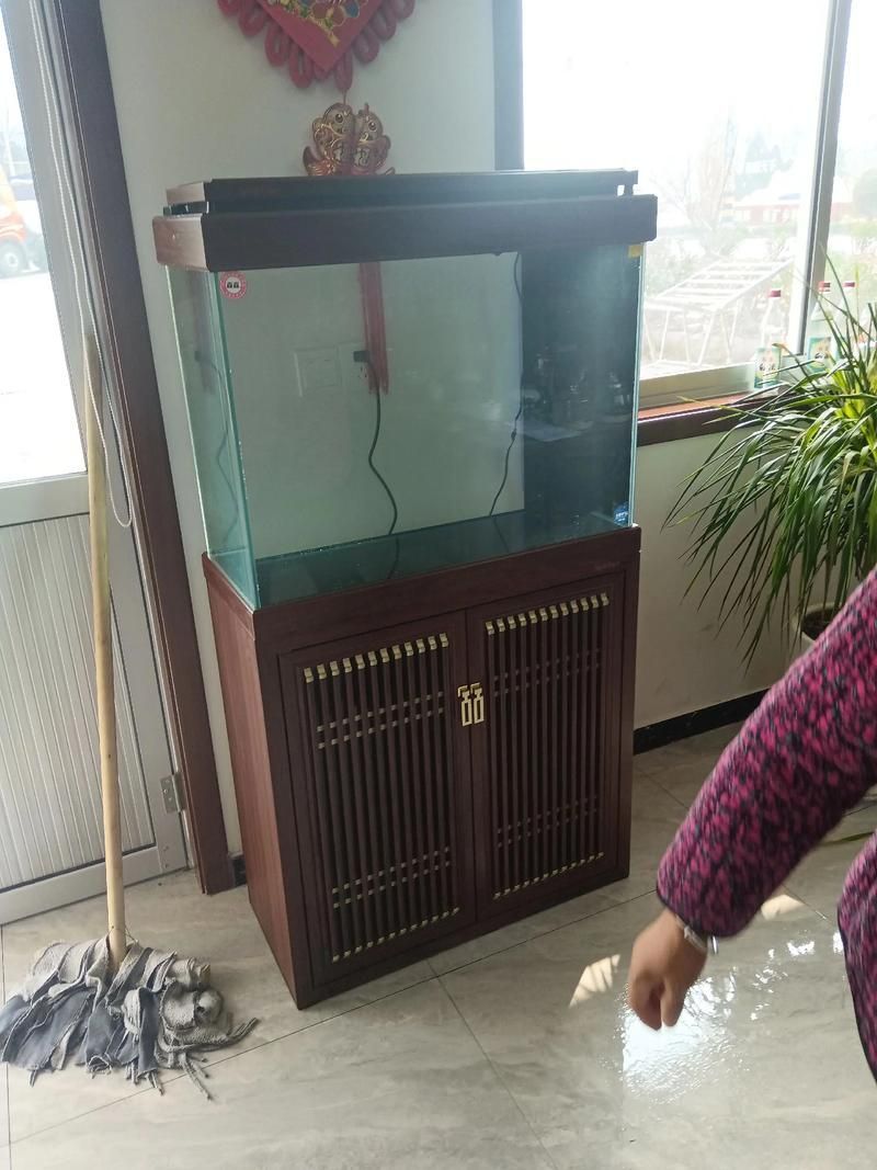 有哪些品牌龍魚缸寬度推薦？，有哪些品牌龍魚缸寬度推薦? 有哪些品牌龍魚缸寬度推薦？，有哪些品牌龍魚缸寬度推薦? 龍魚百科 第4張
