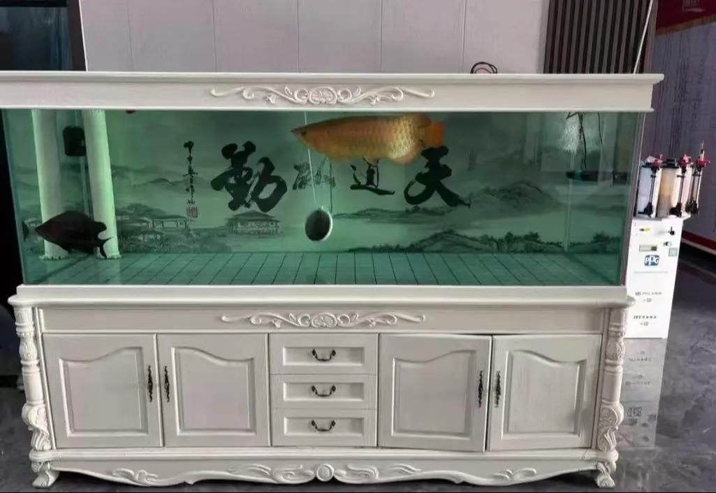 有哪些品牌龍魚缸寬度推薦？，有哪些品牌龍魚缸寬度推薦? 有哪些品牌龍魚缸寬度推薦？，有哪些品牌龍魚缸寬度推薦? 龍魚百科 第7張