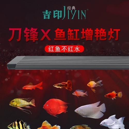 龍魚鸚鵡魚增色燈哪個品牌最好?,龍魚鸚鵡魚增色燈哪個品牌最好吉印和馬印哪個更值得購買 龍魚百科 第4張 龍魚鸚鵡魚增色燈哪個品牌最好?,龍魚鸚鵡魚增色燈哪個品牌最好吉印和馬印哪個更值得購買 龍魚鸚鵡魚增色燈哪個品牌最好?,龍魚鸚鵡魚增色燈哪個品牌最好吉印和馬印哪個更值得購買 龍魚百科 第4張