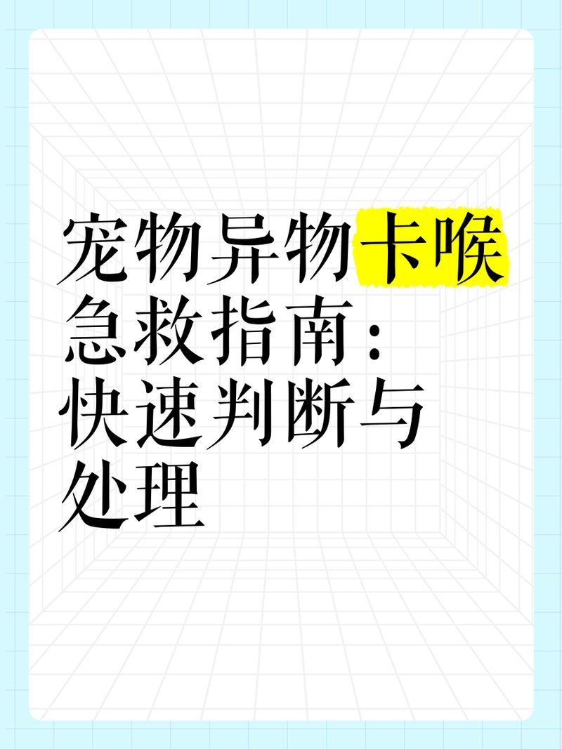 如何判斷龍魚卡喉是否需要就醫，如何判斷龍魚卡喉是否需要就醫？ 如何判斷龍魚卡喉是否需要就醫，如何判斷龍魚卡喉是否需要就醫？ 龍魚百科 第2張