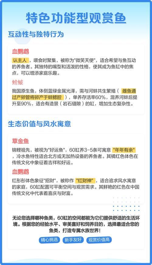 能否提供60缸十大最建議買的魚的詳細圖解，60升魚缸養護指南