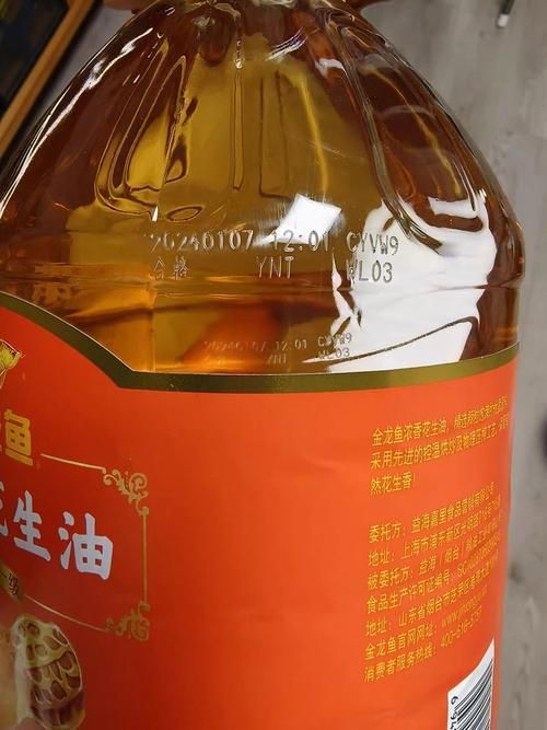 金龍魚收藏價值評估方法，金龍魚收藏價值評估方法思考完成金龍魚收藏價值評估方法 金龍魚收藏價值評估方法，金龍魚收藏價值評估方法思考完成金龍魚收藏價值評估方法 龍魚百科 第6張