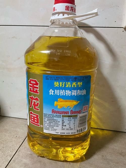 金龍魚收藏價值評估方法，金龍魚收藏價值評估方法思考完成金龍魚收藏價值評估方法 金龍魚收藏價值評估方法，金龍魚收藏價值評估方法思考完成金龍魚收藏價值評估方法 龍魚百科 第4張
