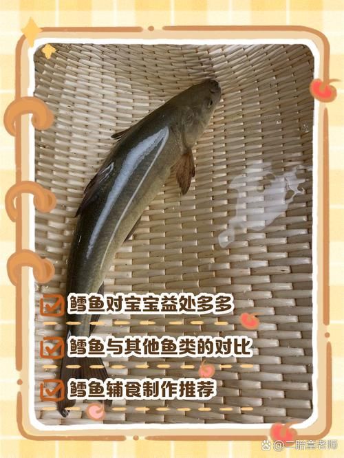 鱈魚和龍鱈魚哪個更有營養，鱈魚和龍鱈魚哪個更有營養鱈魚和龍鱈魚哪個更有營養 鱈魚和龍鱈魚哪個更有營養，鱈魚和龍鱈魚哪個更有營養鱈魚和龍鱈魚哪個更有營養 龍魚百科 第2張