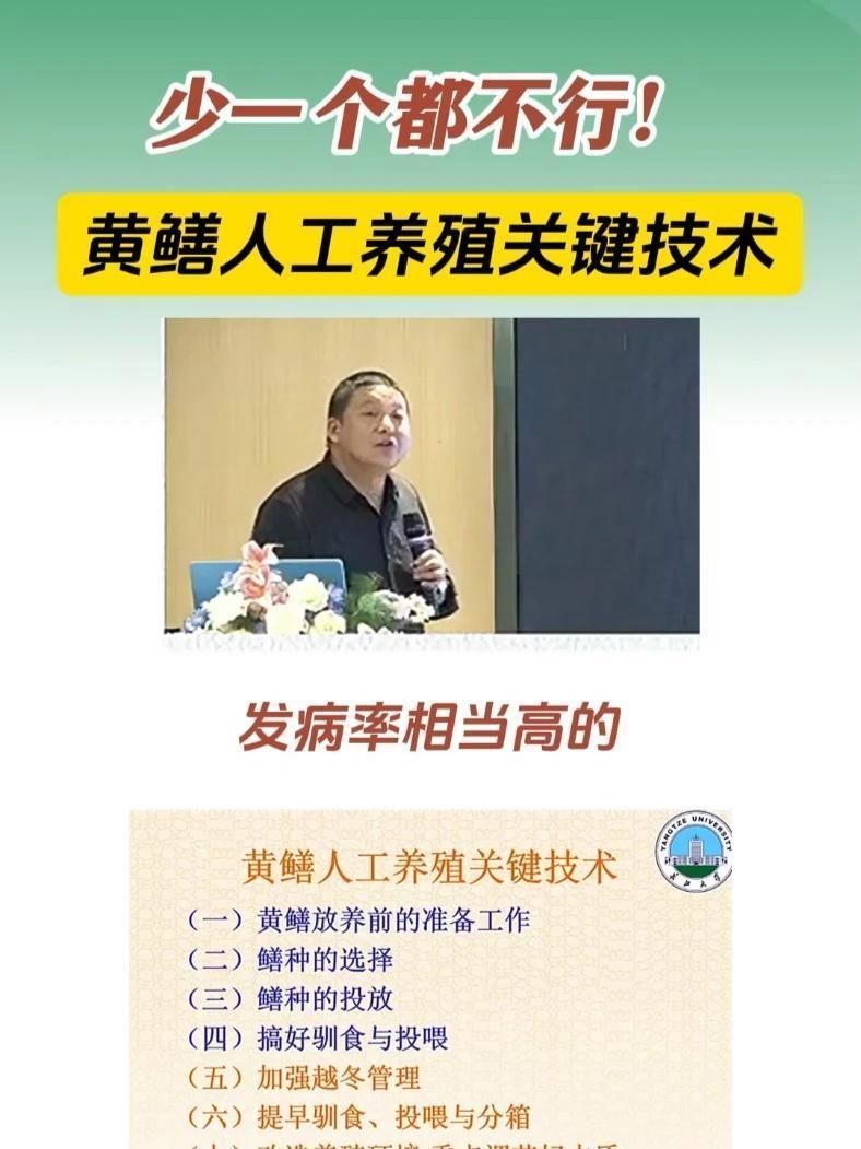 養黃鱔的10個忠告，養黃鱔的10個忠告，是決定成功率的關鍵 養黃鱔的10個忠告，養黃鱔的10個忠告，是決定成功率的關鍵 龍魚百科 第3張
