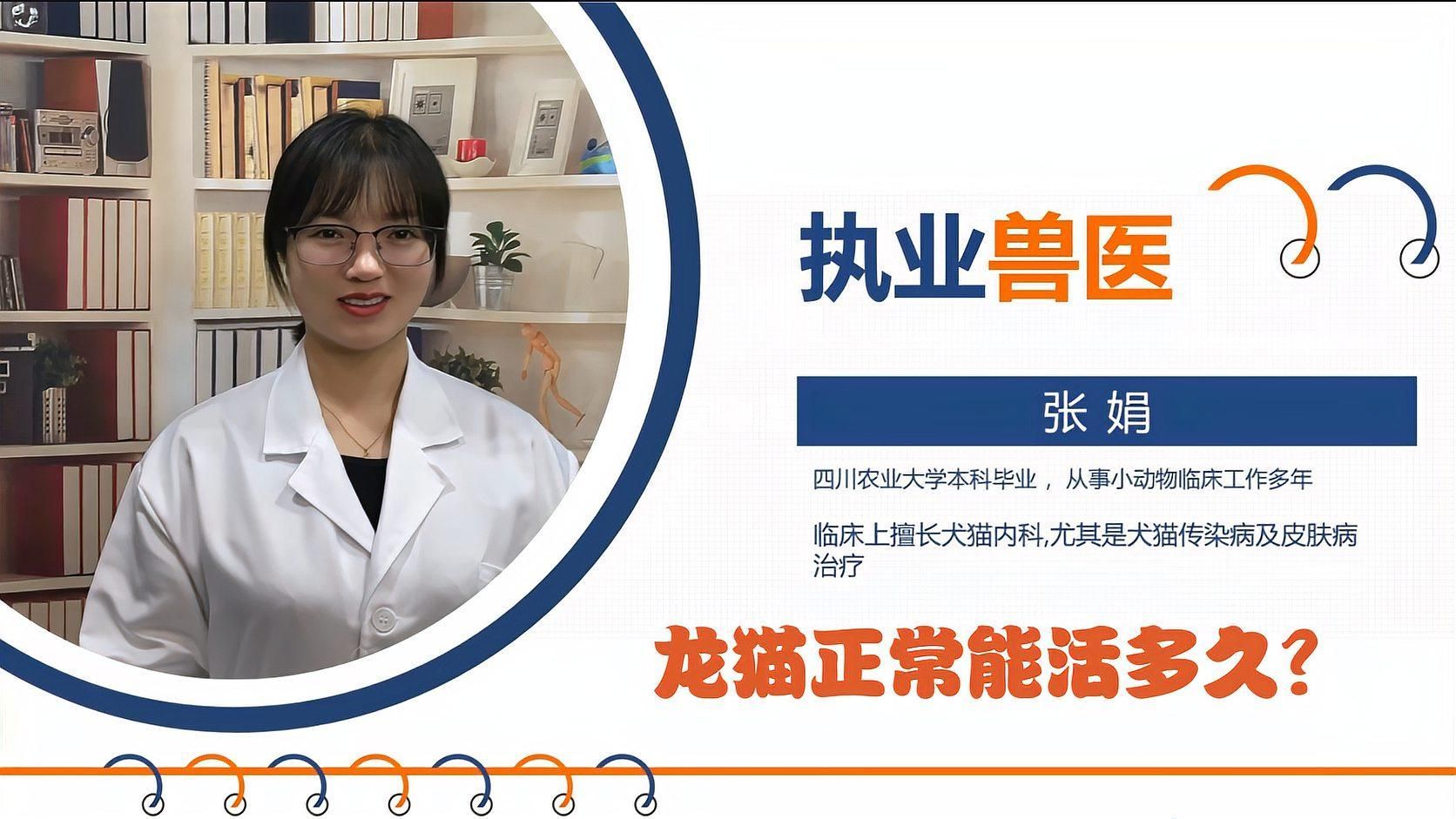 詳細閱讀:如何延長龍貓的壽命,【龍貓】第十九期:龍貓正常能活多久寵物呆萌說 如何延長龍貓的壽命,【龍貓】第十九期:龍貓正常能活多久寵物呆萌說