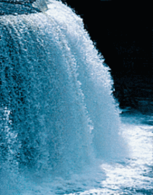 推薦一些適合全屏的動態壁紙,全屏動態壁紙合集 龍魚百科 第1張 推薦一些適合全屏的動態壁紙,全屏動態壁紙合集 推薦一些適合全屏的動態壁紙,全屏動態壁紙合集 龍魚百科 第1張