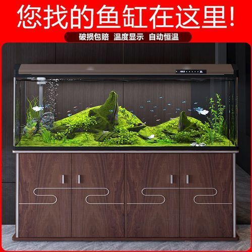 如何判斷西龍魚缸的質量，西龍魚缸問題大集合