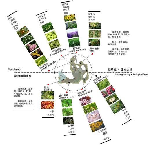 有哪些具體的遮蔽物設(shè)置建議，《西安城市綠化條例》