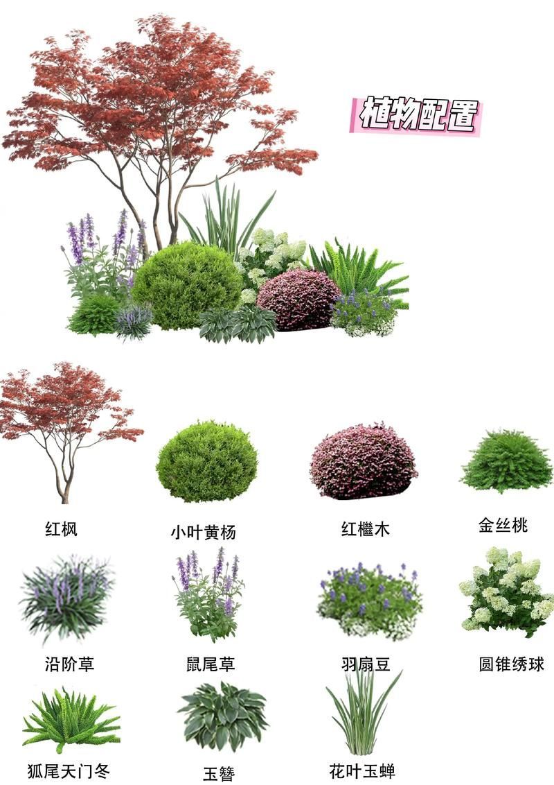 有哪些具體的遮蔽物設置建議，《西安城市綠化條例》 有哪些具體的遮蔽物設置建議，《西安城市綠化條例》 龍魚百科 第6張