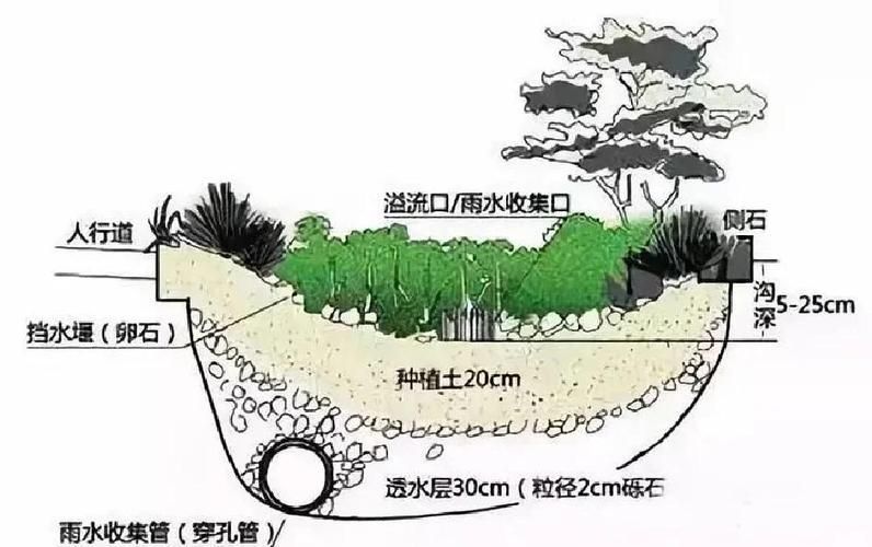 有哪些具體的遮蔽物設置建議，《西安城市綠化條例》 有哪些具體的遮蔽物設置建議，《西安城市綠化條例》 龍魚百科 第4張